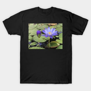 "Water Lillies" T-Shirt